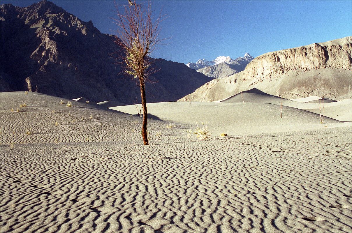20 Sand Dunes Near Skardu